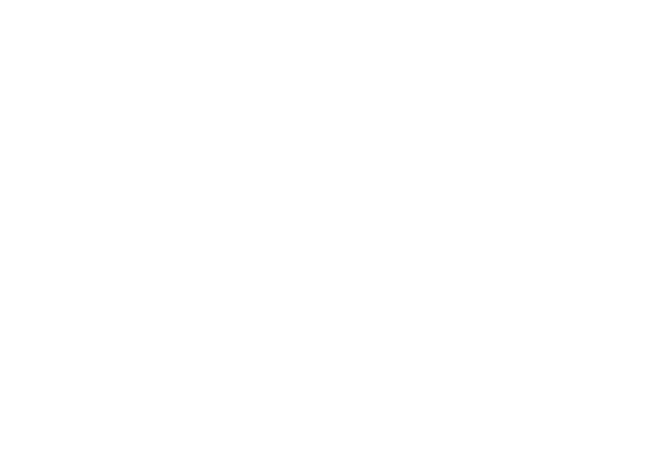 logo 600 white